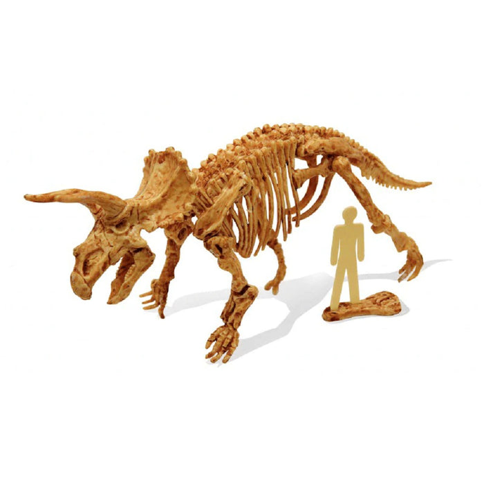 Dino Kit Triceratops - Buki